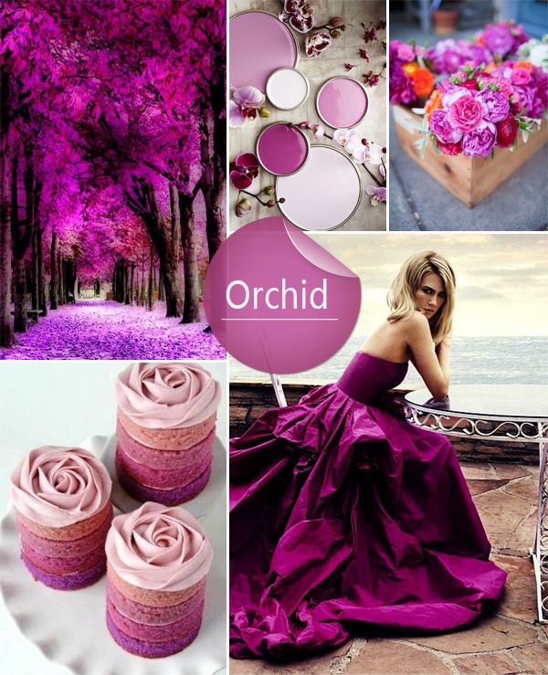 Orchid Wedding Colors